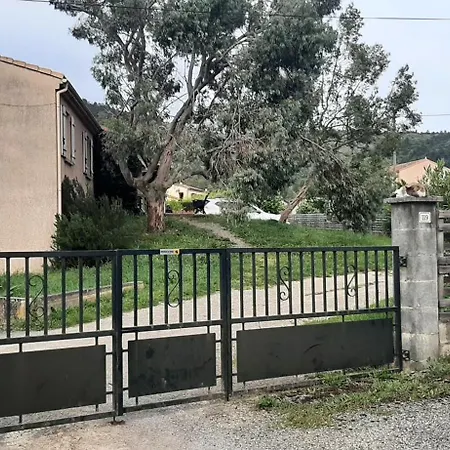 Les Eucalyptus Vesseaux